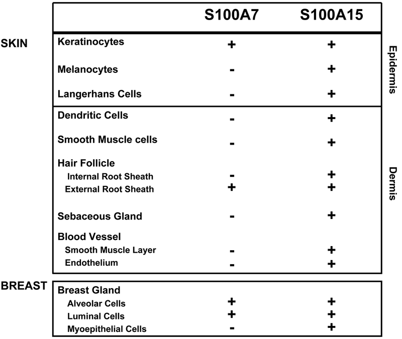 Figure3: