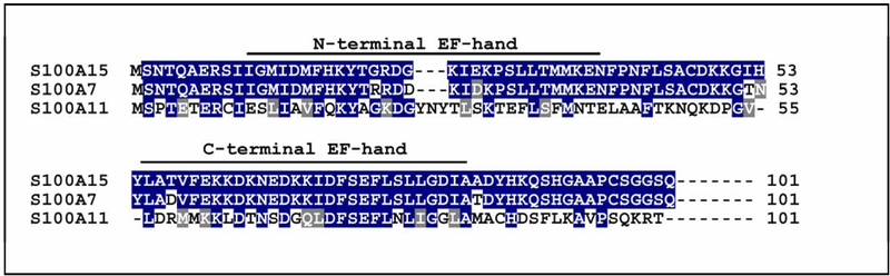 Figure2: