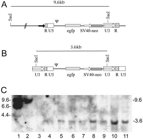 FIG. 7.