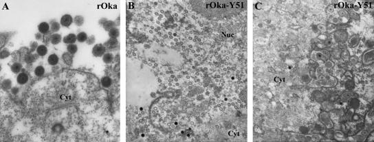 FIG. 11.