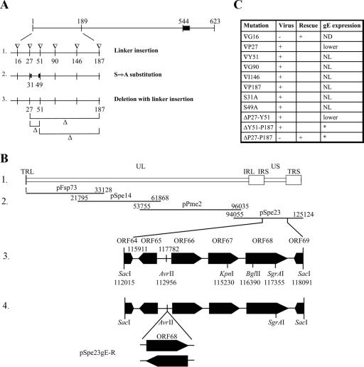 FIG. 2.