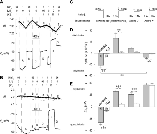 Fig. 12.