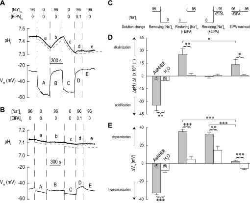 Fig. 11.