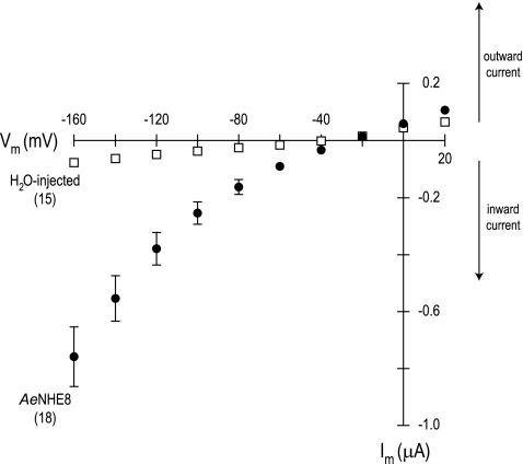 Fig. 10.