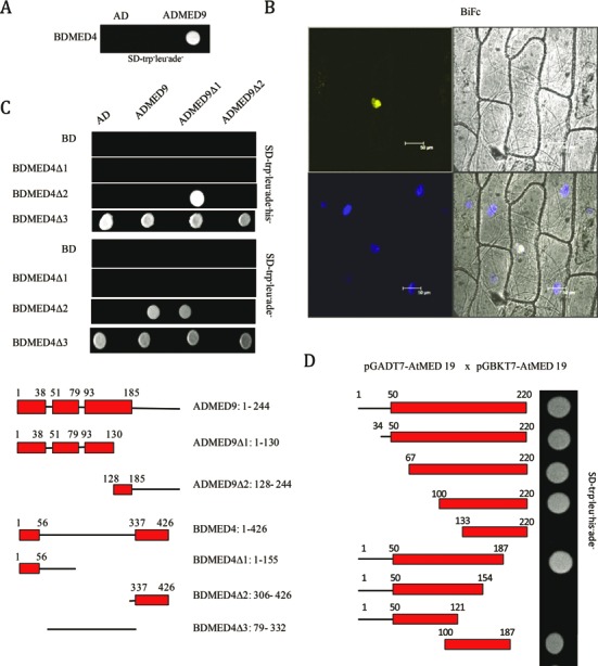 Figure 6.