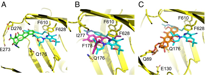 Fig. 5.