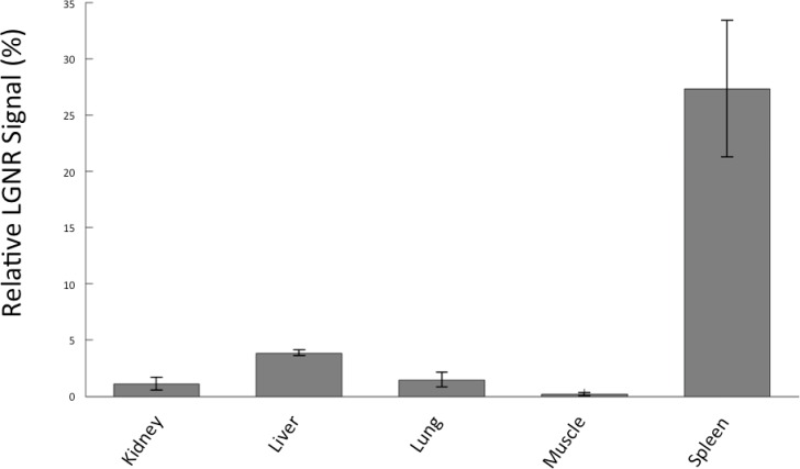 Figure 2—figure supplement 12.