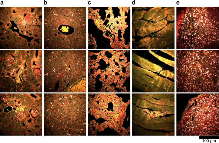 Figure 2—figure supplement 9.