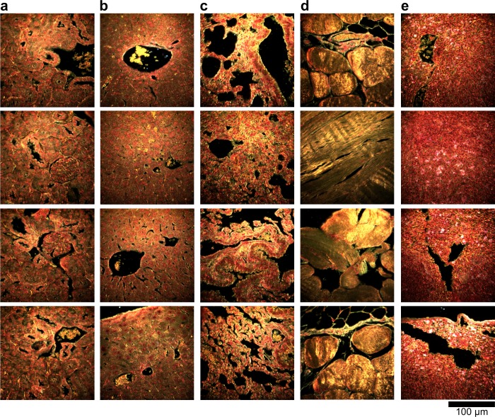 Figure 2—figure supplement 2.