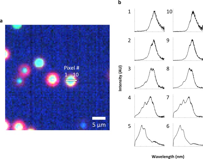 Figure 2—figure supplement 6.