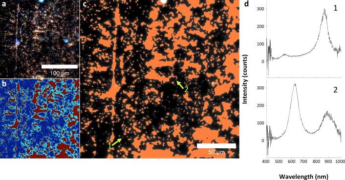 Figure 2—figure supplement 5.