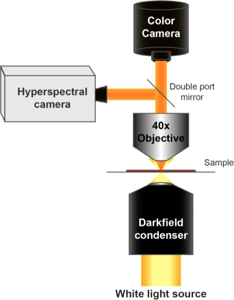 Figure 1—figure supplement 1.