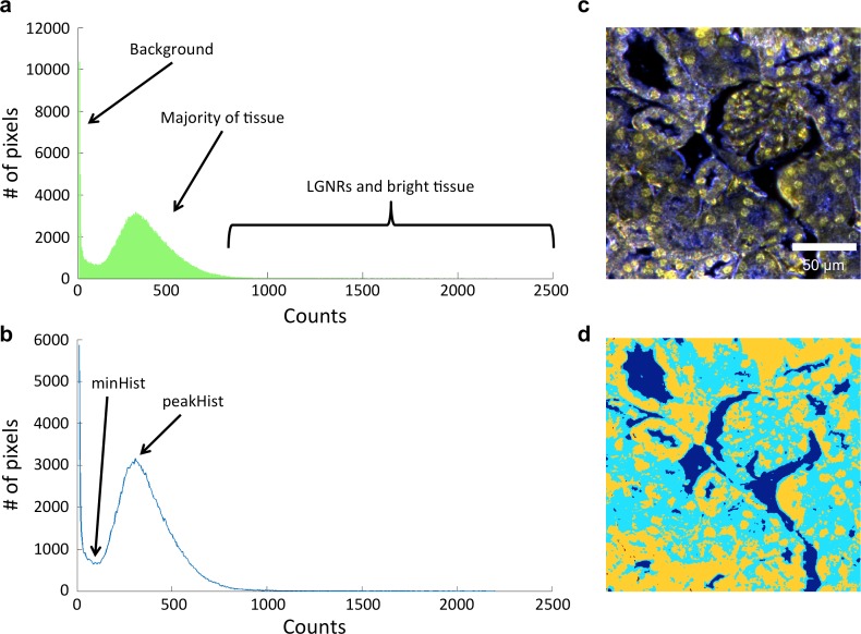 Figure 1—figure supplement 2.