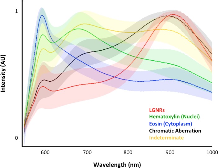 Figure 1—figure supplement 4.