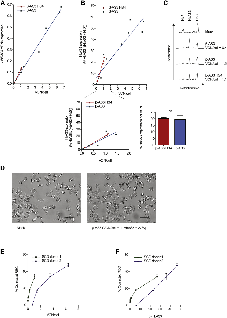 Figure 4