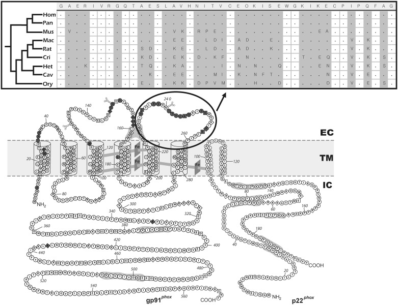 Fig. 3.