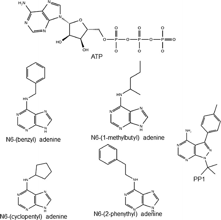 Fig. 3