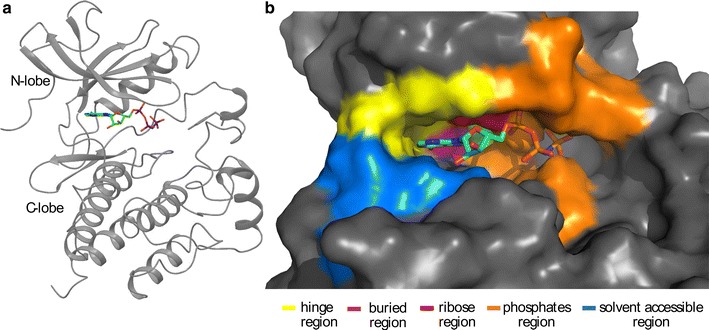 Fig. 1