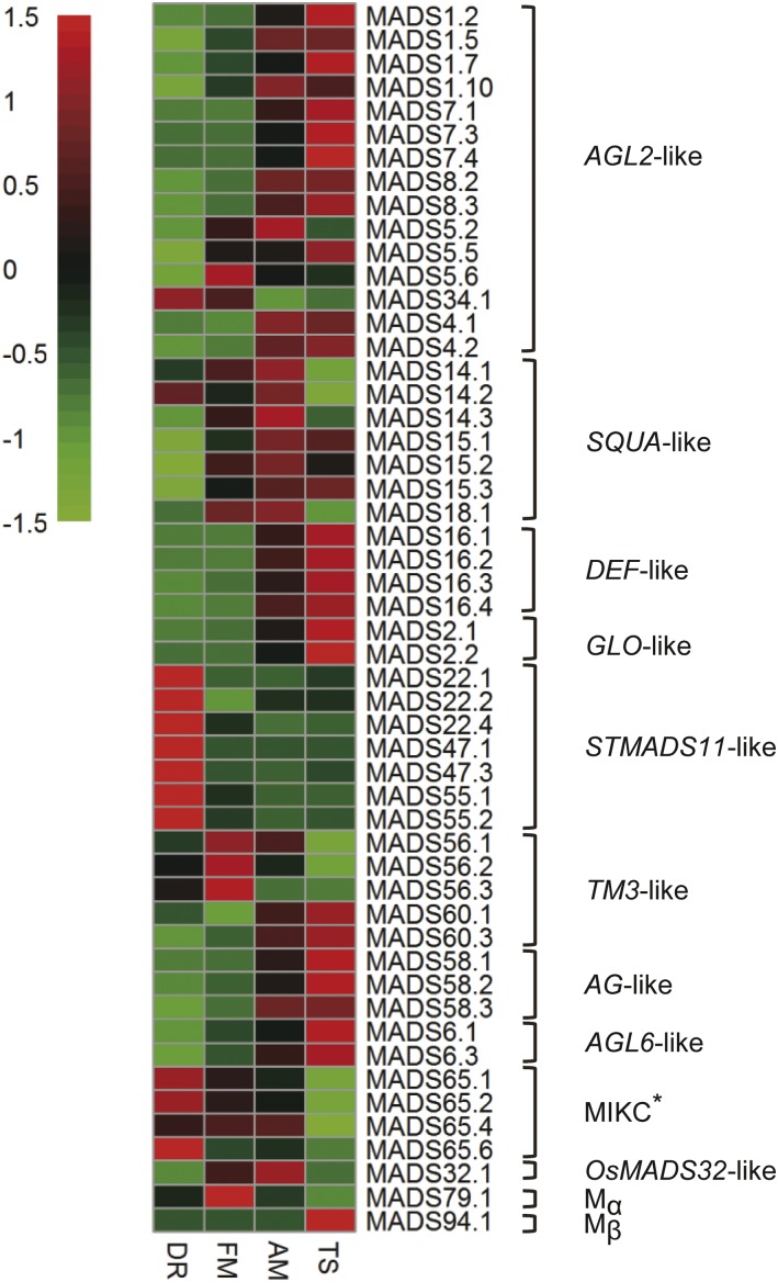 Figure 3.