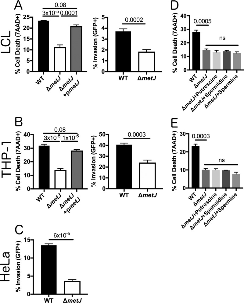 FIG 3