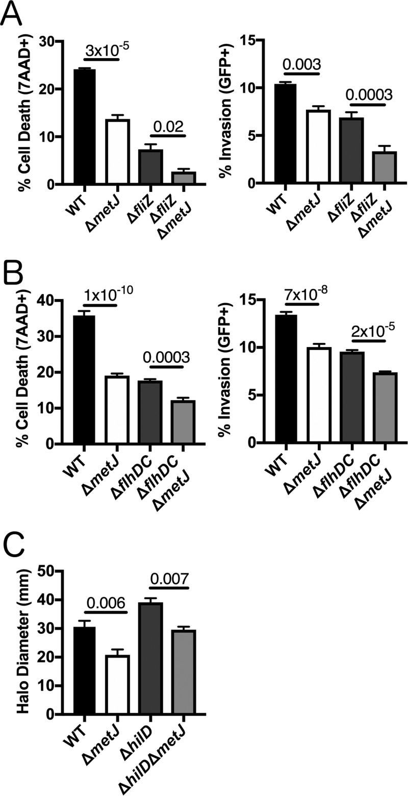 FIG 6