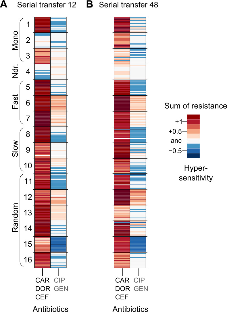 Figure 2—figure supplement 5.