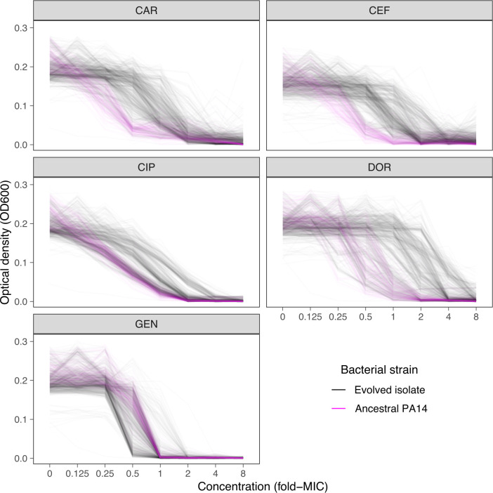 Figure 2—figure supplement 2.