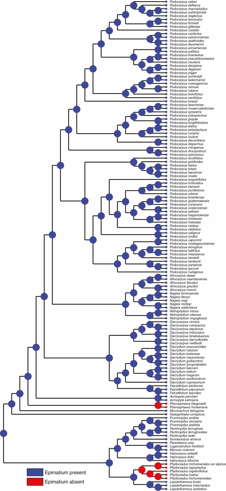 Fig. 6.