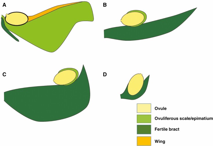 Fig. 7.