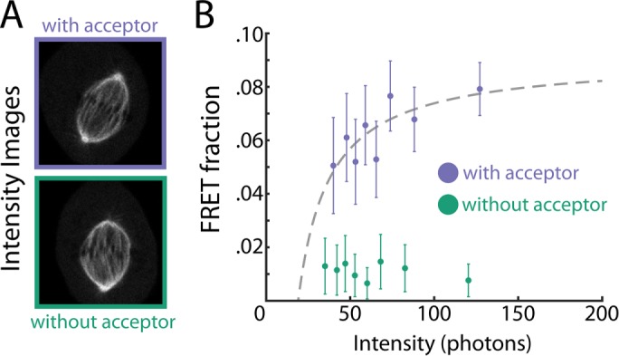 FIGURE 7: