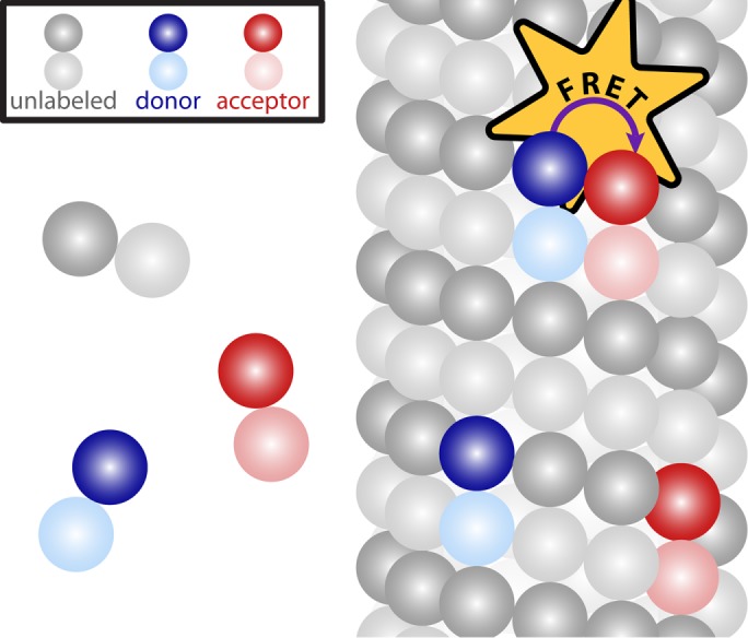 FIGURE 1: