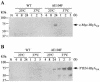 FIG. 9.