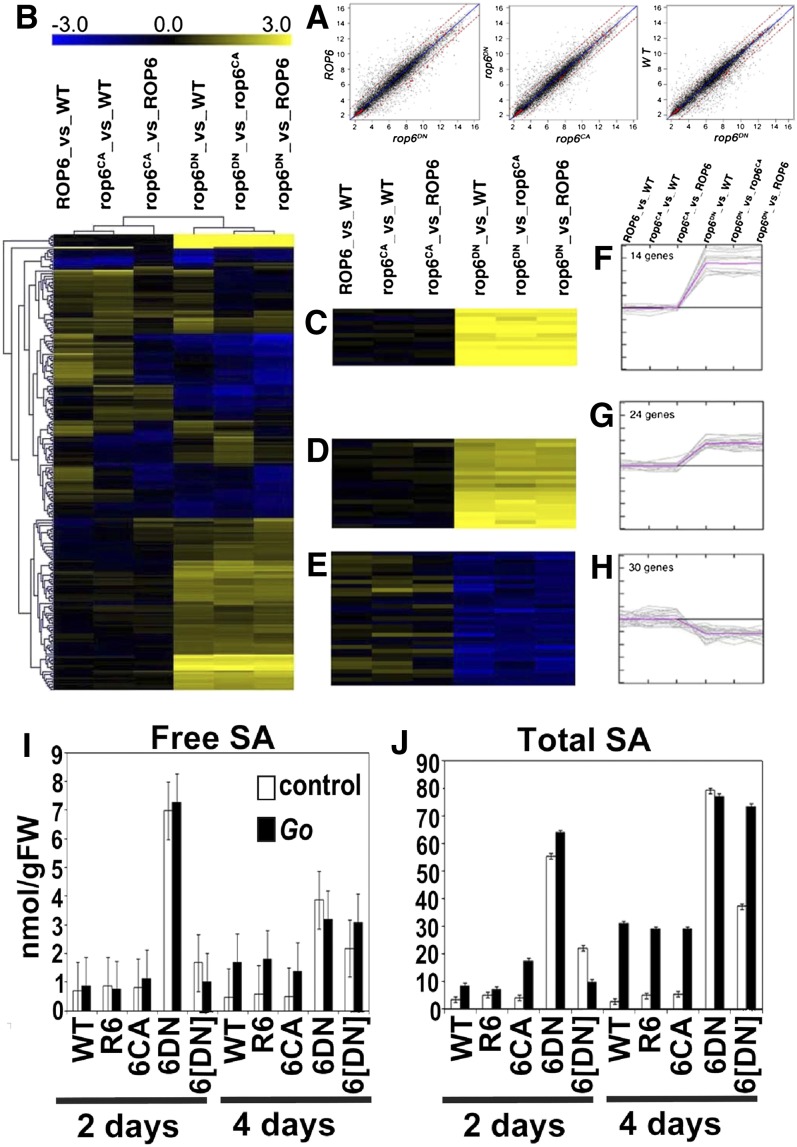 Figure 6.