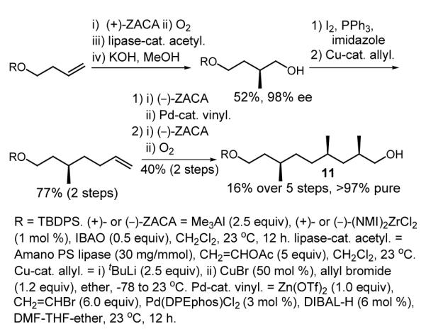 Scheme 4