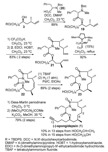 Scheme 6