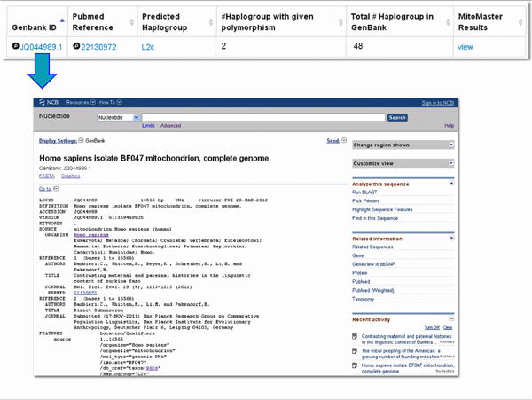 Figure 18