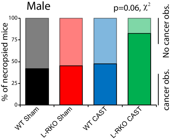 Figure 1—figure supplement 1.