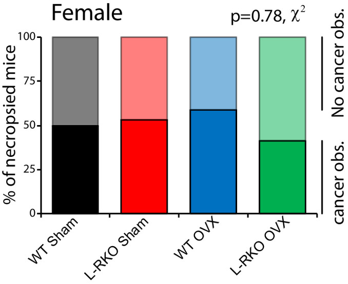 Figure 2—figure supplement 1.