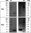 FIG 2