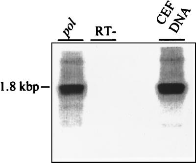 FIG. 5