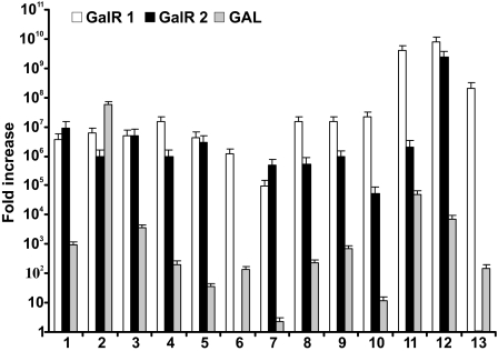 Fig. 5.