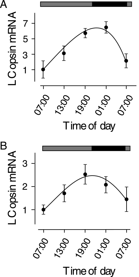 FIGURE 5.