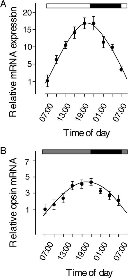 FIGURE 1.