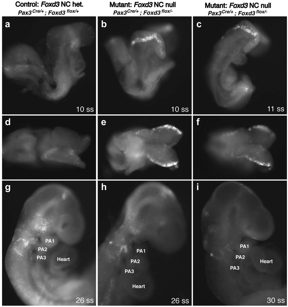 FIG. 5