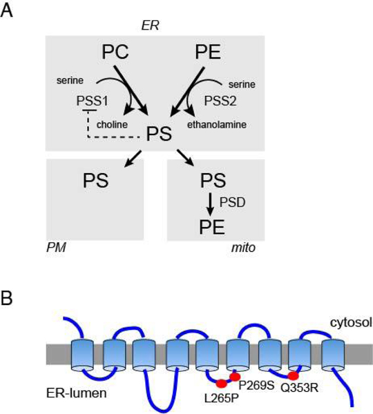 Figure 1: