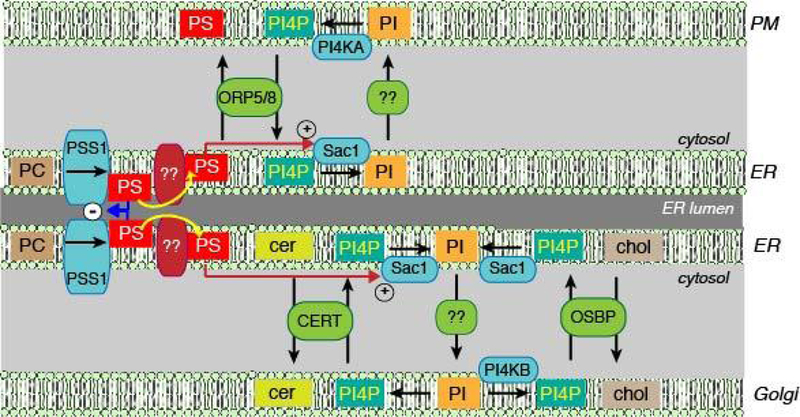 Figure 2: