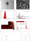 Fig. 1