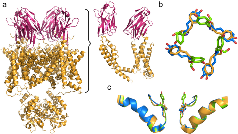 Figure 7.