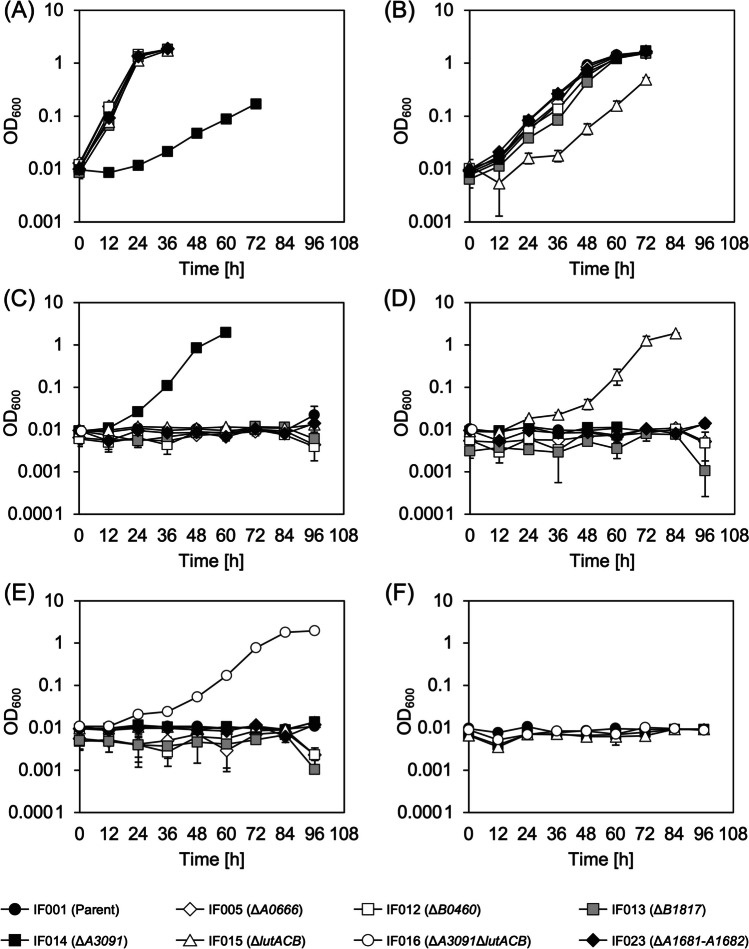 Fig. 4