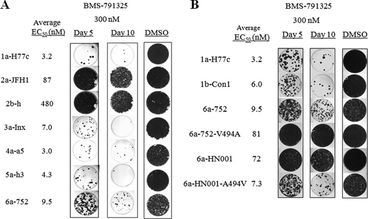 FIG 3